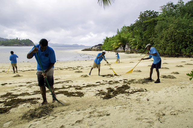 Cleaning_Services_Seychelles_feat_2